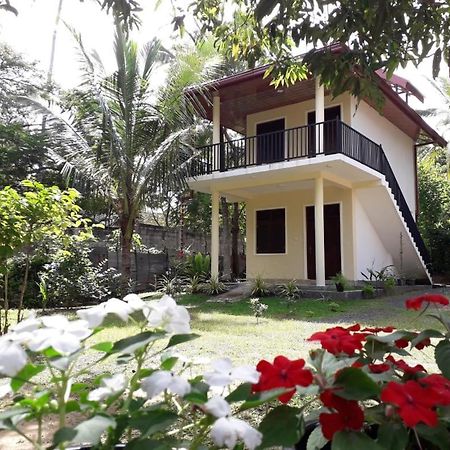 Hotel Blue Point Rest Tangalle Exterior foto