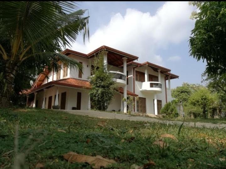 Hotel Blue Point Rest Tangalle Exterior foto