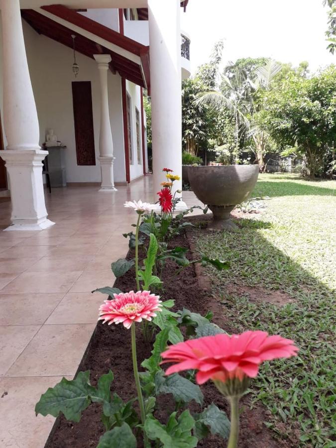 Hotel Blue Point Rest Tangalle Exterior foto